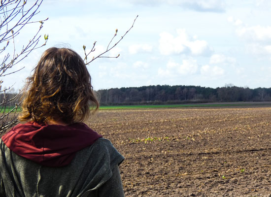 Diana schaut auf ein Feld